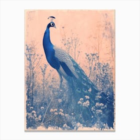 Peacock In The Meadow Cyanotype Inspired 2 Canvas Print