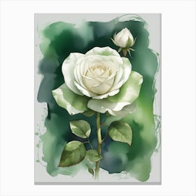 White Rose 2 Canvas Print