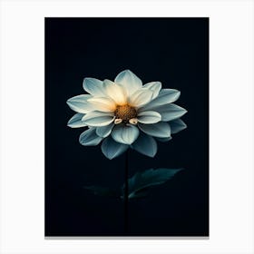 White Dahlia Flower 1 Canvas Print