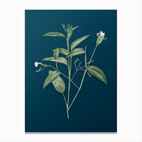 Vintage Maranta Arundinacea Botanical Art on Teal Blue n.0223 Canvas Print