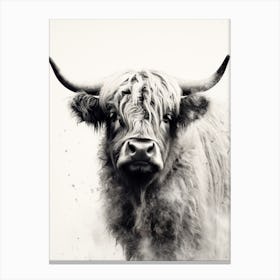 Black & White Ink Painting Of Highland Cow 6 Canvas Print