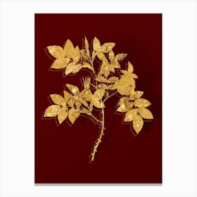 Vintage Mountain Rose Bloom Botanical in Gold on Red n.0088 Canvas Print