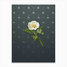 Vintage Burnet Rose Botanical on Slate Gray Pattern n.2021 Canvas Print