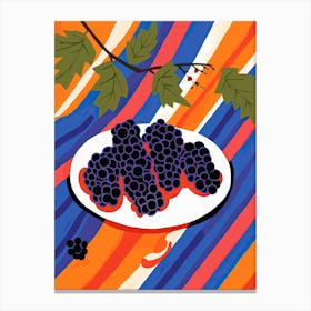 Elderberries Fruit Summer Illustration 2 Canvas Print