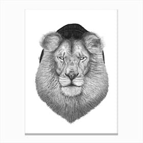 Lion In Hat Canvas Print