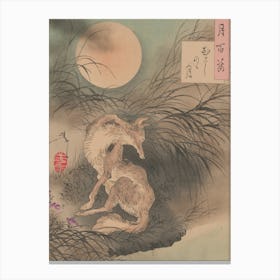 Fox In The Moonlight Canvas Print