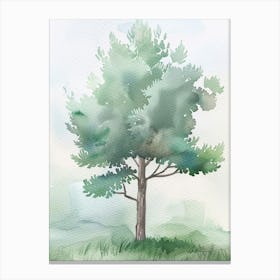Juniper Tree Atmospheric Watercolour Painting 2 Canvas Print