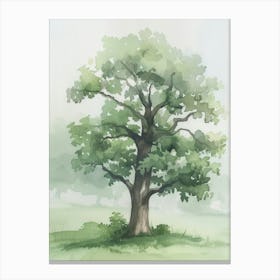 Oak Tree Atmospheric Watercolour Painting 11 Canvas Print
