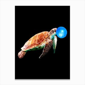 Turtle With A Blue Ball Canvas Print