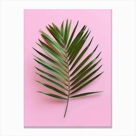 Palm Leaf On Pink Background 9 Canvas Print