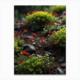 Small Flowers On Rocks Canvas Print