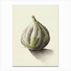 Fig painting Canvas Print