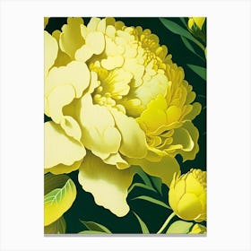 Close Up Of Peonies Yellow Vintage 2 Sketch Canvas Print