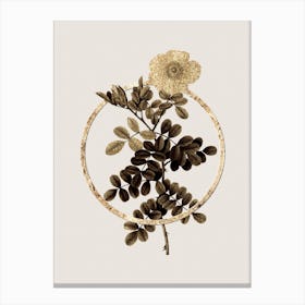 Gold Ring Macartney Rose Glitter Botanical Illustration n.0193 Canvas Print