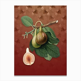 Vintage Fig Botanical on Falu Red Pattern n.2082 Canvas Print