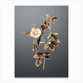 Gold Botanical Big Flowered Dog Rose on Soft Gray n.0823 Canvas Print