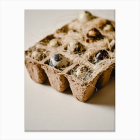 Quail Eggs 20 Canvas Print