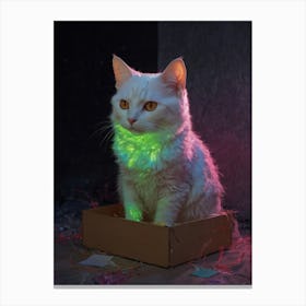 Cat In A Box 4 Canvas Print