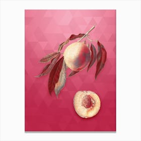 Vintage Peach Botanical in Gold on Viva Magenta n.0867 Canvas Print