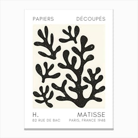 H Matisse 63 Canvas Print