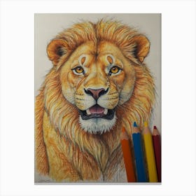 Lion Drawing 8 Canvas Print