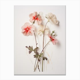 Pressed Flower Botanical Art Geranium 2 Canvas Print