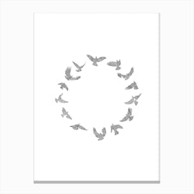 Circle Of Flight Canvas Print