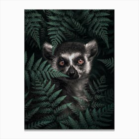 Ring Tailed Lemur Canvas Print