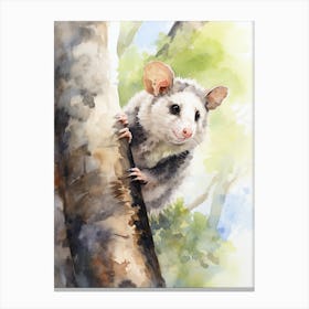 Light Watercolor Painting Of A Climbing Possum 3 Canvas Print