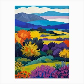 Landscape Of Color Canvas Print