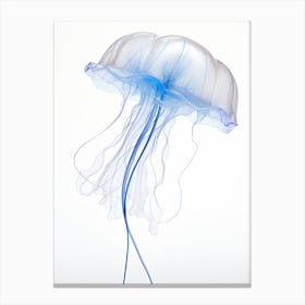 Portuguese Man Of War Jellyfish Watercolour 7 Canvas Print