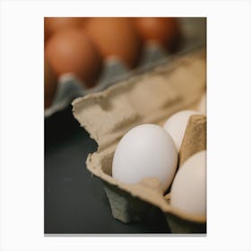 Eggs In A Carton 2 Canvas Print