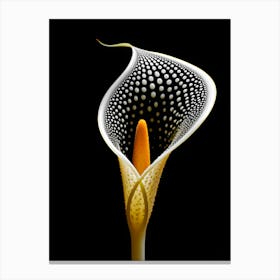 Calla Lily Canvas Print