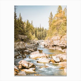 Creek In Mountains Canvas Print