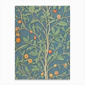 Tangelo 1 Vintage Botanical Fruit Canvas Print