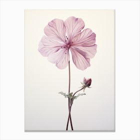 Pressed Flower Botanical Art Geranium 1 Canvas Print