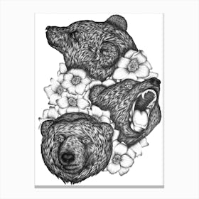 Bears In Bears Canvas Print