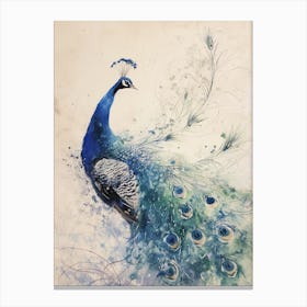 Peacock Watercolour Floating Feathers 3 Canvas Print