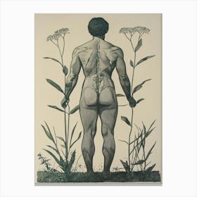 'The Human Body' Canvas Print