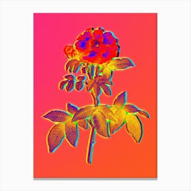 Neon Provins Rose Botanical in Hot Pink and Electric Blue n.0158 Canvas Print