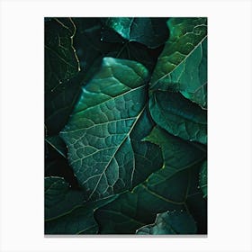 Green Leaves Wallpaper Canvas Print