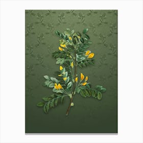 Vintage Siberian Pea Tree Botanical on Lunar Green Pattern n.1977 Canvas Print