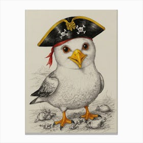 Pirate Seagull 5 Canvas Print