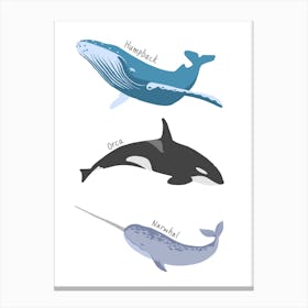 Whales Canvas Print