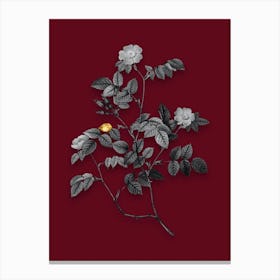 Vintage Sweetbriar Rose Black and White Gold Leaf Floral Art on Burgundy Red Canvas Print