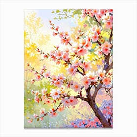 Cherry Blossoms 54 Canvas Print