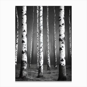 Birch Trees In The Fog 3 Canvas Print