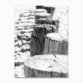 Row of Dutch pile heads on the beach // Travel Photography Canvas Print