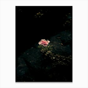 Rose In The Dark 34 Canvas Print