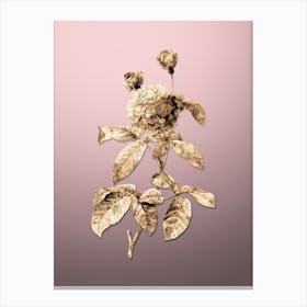 Gold Botanical Agatha Rose in Bloom on Rose Quartz n.3732 Canvas Print